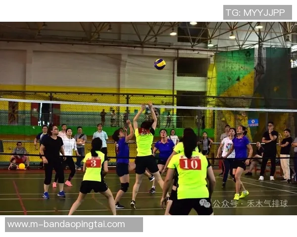 2026年3月份新闻从零起步掌握排球技巧全面指南助你成为排球高手